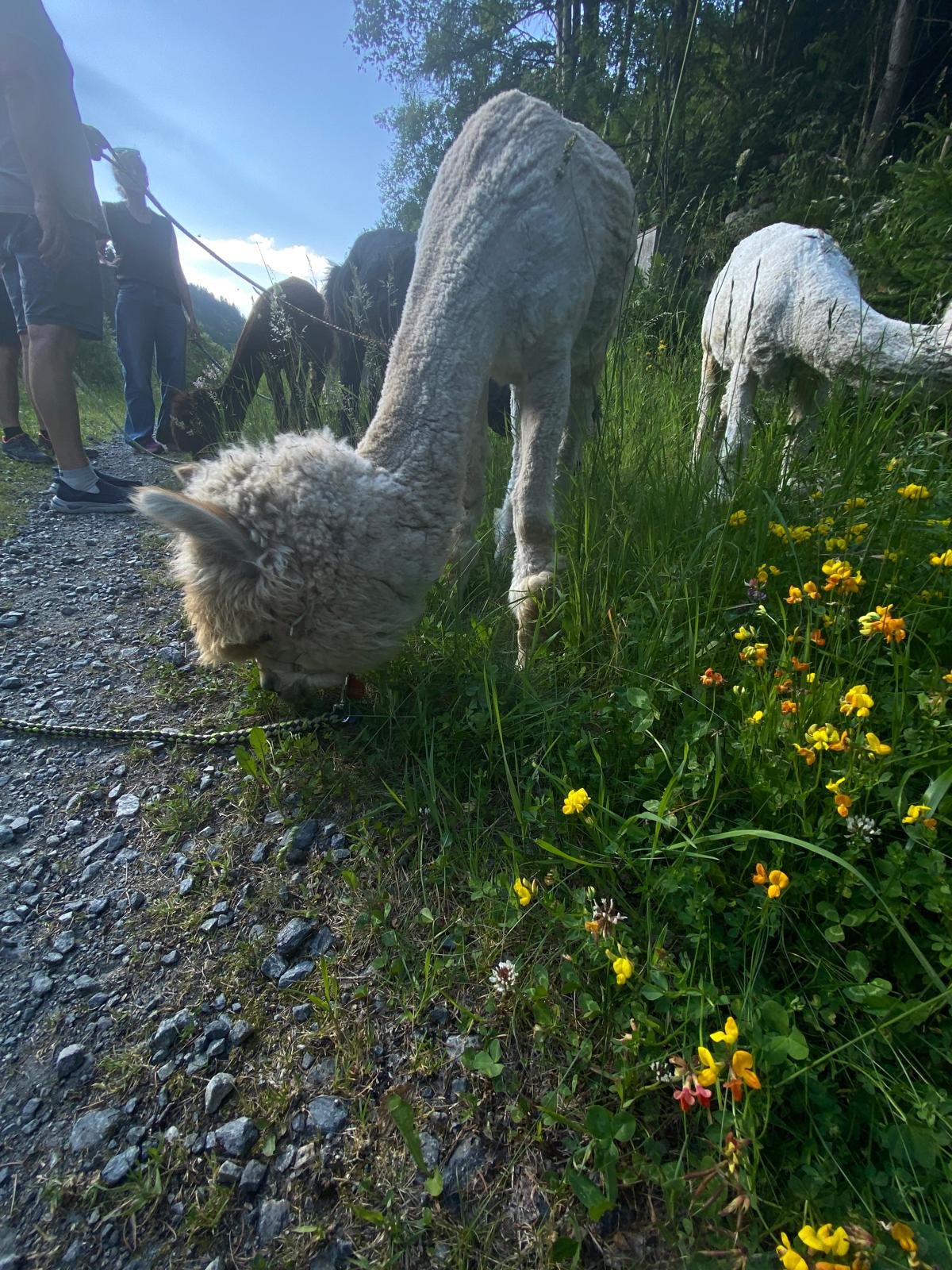 wanderung1 wanderung1