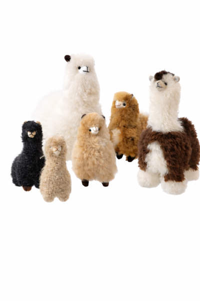 Plüschalpakas