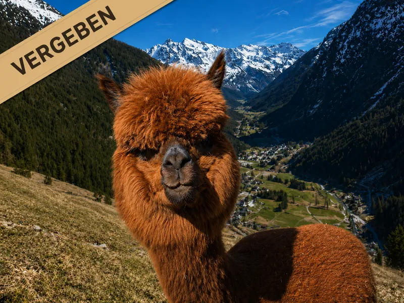 Unsere Haley - Patenschaft
